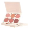Maquillaje Natural Mate Blush Palette Nude Orange Rose
