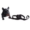 ARING PET Dog Collar and Leash, Velvet Dog Collar and