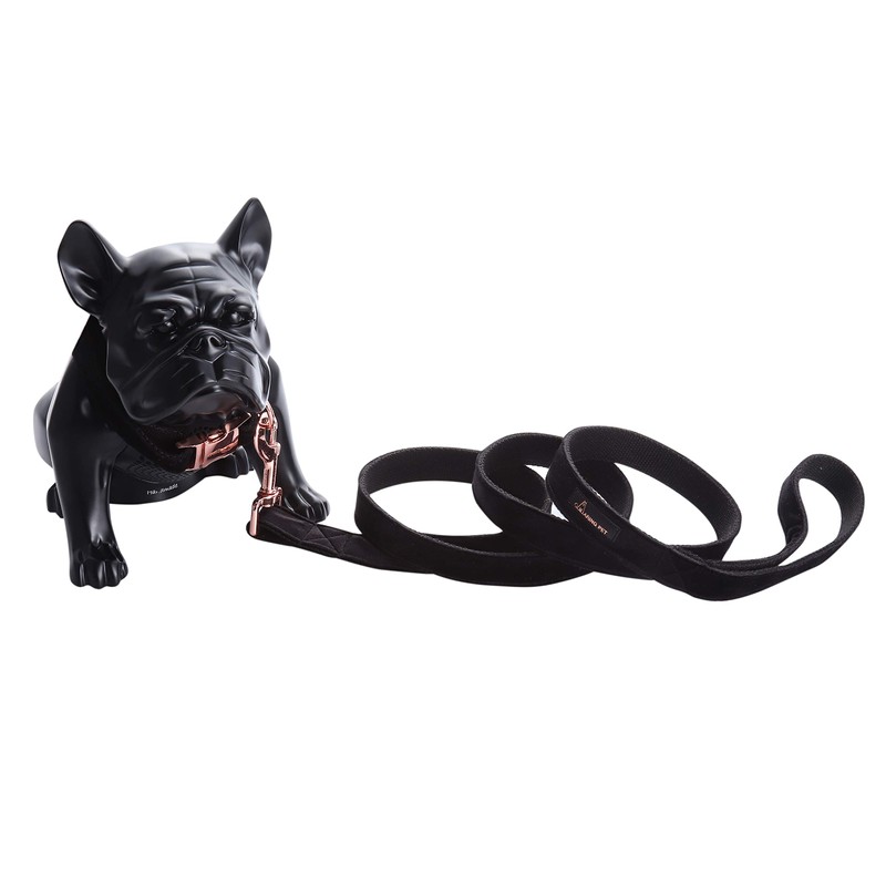 ARING PET Dog Collar and Leash, Velvet Dog Collar and