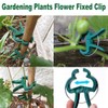 7Queen 80PCS Garden Plant Supports Clips, 2 Sizes Adjusting Reusable