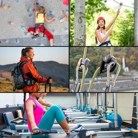 JOLIRSBOX Carabiner Stainless Steel Spring Hook Carabiner Set 1.6 inches (4 cm), Set of 10