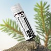 Equisetum Hyemale 6C Homeopathic Remedy, 270 Pellets