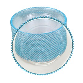 RENFANSHOP 25 Pcs Clear Charger Plates Set with Beaded Rim - Elegant Plastic Round Dinner Plates for Weddings, Parties, and Home Decor - 12.6 Inch Decorative Table Chargers (Blue)