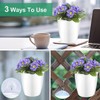 Oliz Self Watering Wall Planters for Indoor Plants with Water