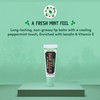 Vermont's Original Bag Balm Fragrance Free Lip Balm with Vitamin