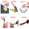 Pineapple Corer Peeler Slicer Cutter, Lemon Press Squeezer Manual Juicer,