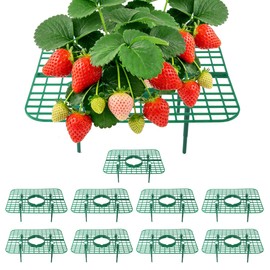 CNNIK Strawberry Plant Support, 10 Pack, Raised Grid Stand to Keep Strawberries Off the Ground, Strawberry Holder for Garden Beds, Raised Planters & Pots (Square)