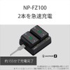 Sony ACC-ZD1K Accessory Kit (BC-ZD1+NP-FZ100)