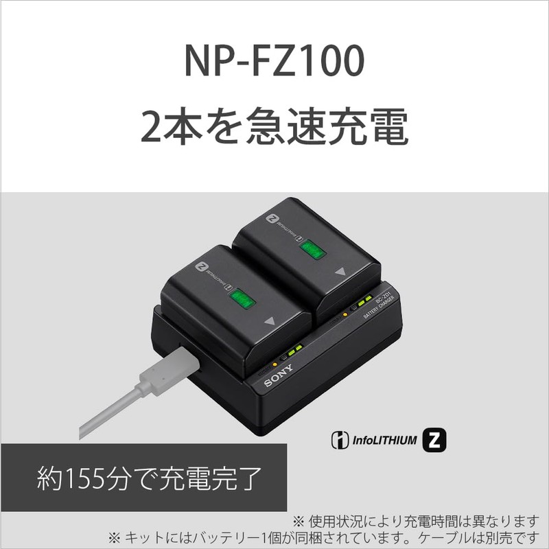 Sony ACC-ZD1K Accessory Kit (BC-ZD1+NP-FZ100)
