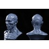 Iwamatu Human Body Anatomy Model, Head Model, Head Tendon Model,