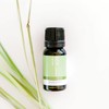ECO. Modern Essentials Vetiver Pure Essential Oil, 10ml