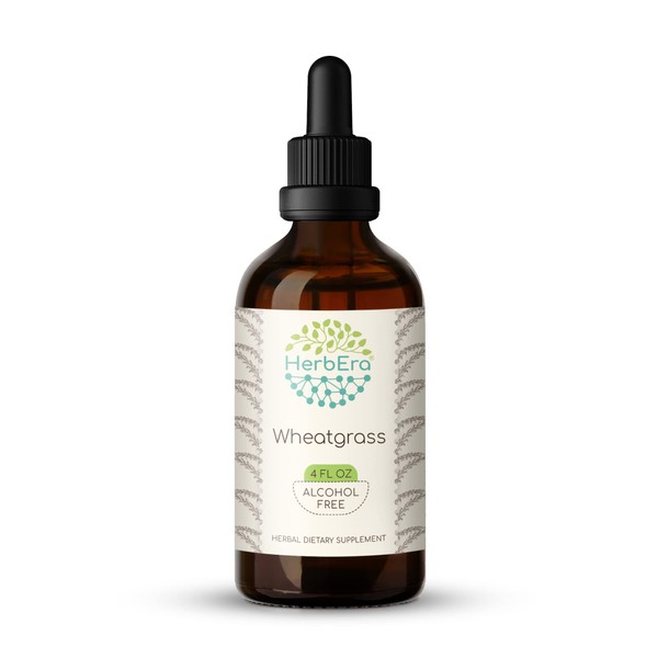 Wheatgrass B120 Alcohol-Free Herbal Extract Tincture, Concentrated Liquid Drops Natural Wheatgrass (Triticum aestivum) Dried Leaf (4 fl oz)
