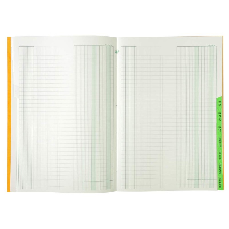'Exacompta (‰ Ftsbuch "Echèancier 297 x 210 mm Pack of