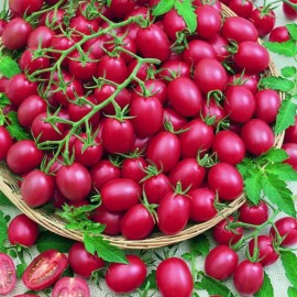 ZEshops 200pcs Tomato Cherry Pink Grape Seeds - Heirloom, Non-GMO Seeds