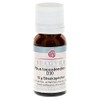 Rhus Toxicodendron D 30 Globules