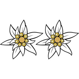 Pure Print Cut Car Sticker Alps Edelweiss Flower - Contour Cut, 9.5 x 9.5 cm, Pack of 2, UV Protection Laminate, Car Wash Resistant