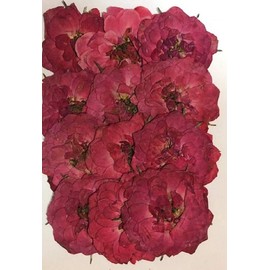 hukusan Flower Pack Mini Rose Red Fuk – 1026