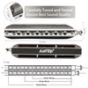 East top Chromatic Harmonica,12-Hole 48 Tones C Key Mouth Organ