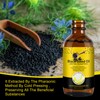 Black Seed Oil - 100% Pure, Unrefined, Natural Organic Cold