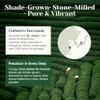 Venture Pal Ceremonial Grade Matcha Powder - Pure & Vegan