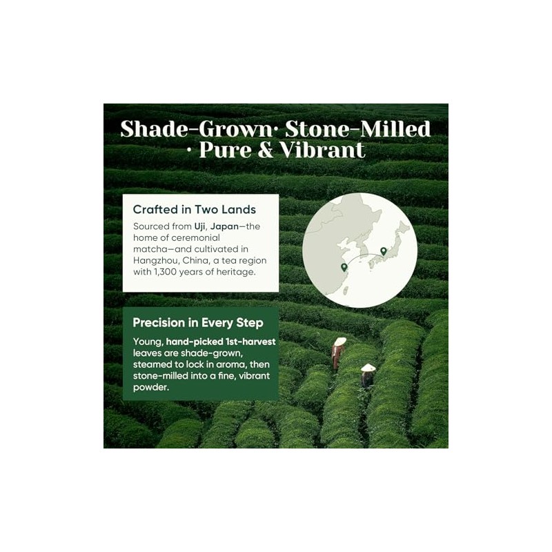 Venture Pal Ceremonial Grade Matcha Powder - Pure & Vegan