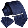 Enlision Mens Navy Paisley Tie and Pocket Square with Tie