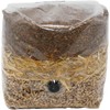 Wood-Based All-in-One Mushroom Grow Bag