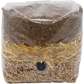 Wood-Based All-in-One Mushroom Grow Bag