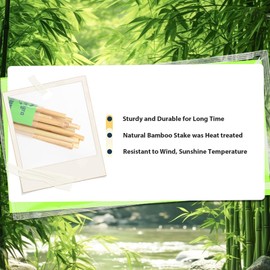 Sprigra Bamboo Stakes 7 Feet, 84 inch Garden Stakes Multi-Purpose, Bamboo Plant Support Stakes for Tomatos, Beans, Cucumbers, Peppers, Potted Trees, Maintain The Plant Posture, Strengthen and Stem