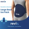 REVIX Extra Large Ice Pack for Back Relief, 2 Pack