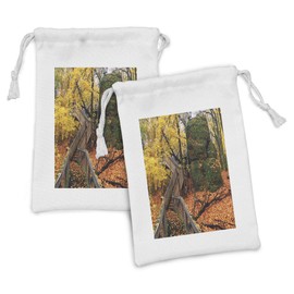 Lunarable Woodland Fabric Pouch Set of 2, Scenic Autumn Colorful Image of Rock Cut State Park Illinois Wooden Stairs Leaves, Small Drawstring Bag for Toiletries Masks and Favors, 9" x 6", Multicolor