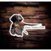 shed-hunters.com German Shorthaired Pointer Hunting Sticker Pheasant Bird Dog Decal