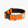 DF Co. Tactical Dog Collar | Comfortable & Secure with