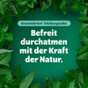 Bronchoforton Ointment, 100g