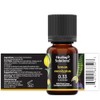 Healing Solutions Lemon Eucalyptus Essential Oil - 0.33 Fluid Ounces