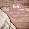 Hello World Newborn Sign - Baby Name Birth Announcement Plaque