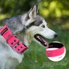 Yunleparks Tactical Collar for Medium Large Dogs, Heavy Duty Metal