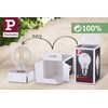 Paulmann 28701 LED Filament Globe Lamp, 7.5 W, Dimmable Opal