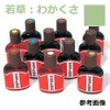 New Japan Modeling Leather Dye Craft Dye Solid Color *Please