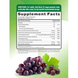 Iron Gummies | 60 Count | Vegan, Non-GMO & Gluten Free Supplement | with B Vitamins & Zinc | Grape Flavor | by Natures Truth