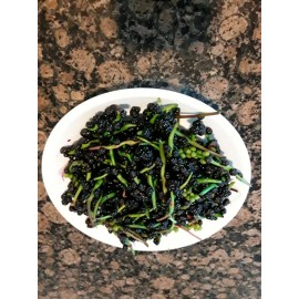 Unbranded 70+ Organic Red  Stem Malabar Spinach Alugbati Mong Toi Poi Sang Ceylon seedsS