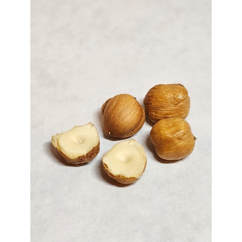 Hazelnuts in-shell, grown in our family's orchard in Washington state