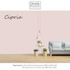 Chalk PAiNT PAINT EVERYTHING Chalk Paint Everything? Cipria Kreidefarbe Wasserbasis