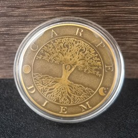 Strugglejewelry Memento Mori Carpe Diem Coin Stoic Reminder Token Skull Challenge Coin