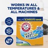 Arm & Hammer Plus OxiClean Powder Laundry Detergent, Fresh Scent,