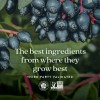 New Chapter Women’s 50+ Multivitamin Gummies – 66% Less Sugar,