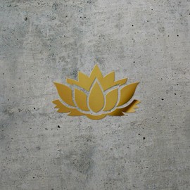 Decal Stickers of Floral Elements (Metallic Gold) (Set of 2) Premium Waterproof Vinyl Decal Stickers for Laptop Smartphone Car Dirt Bike Wall Room Mason Jar Bathtub Door - BICVER1d64691GOW19Y24