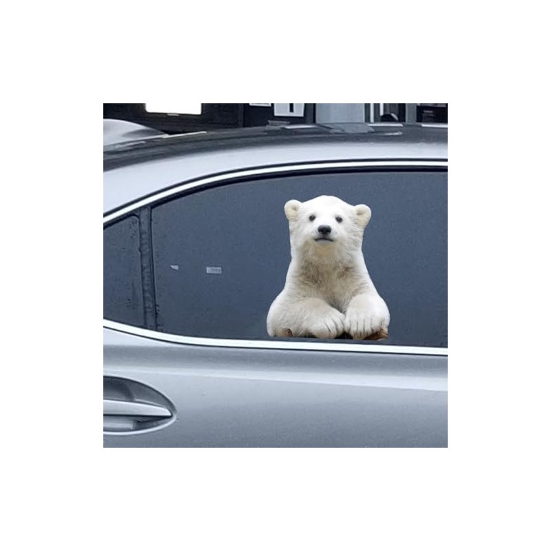 Animal Car Window Decals Funny 3D Weatherproof Decals (Polar Bear)