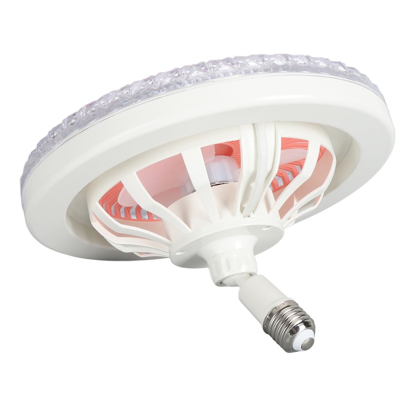 Enclosed Ceiling Fan with Light and Remote Adjustable Timing Mini