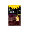 Garnier Olia Permanent Hair Dye, Ammonia-Free Hair Color, 4.62 Dark